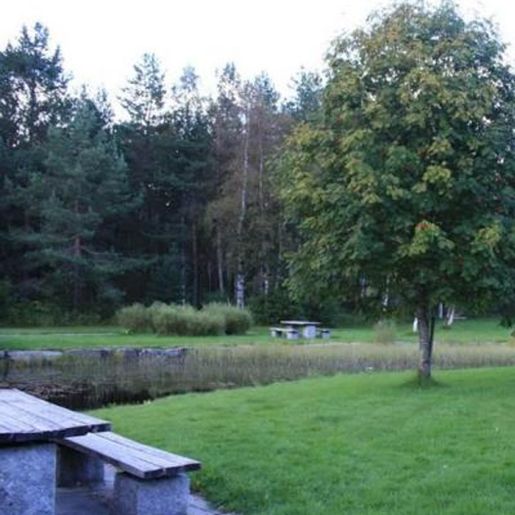 Hage med plen, benk og Villrogn fk Sauherad E