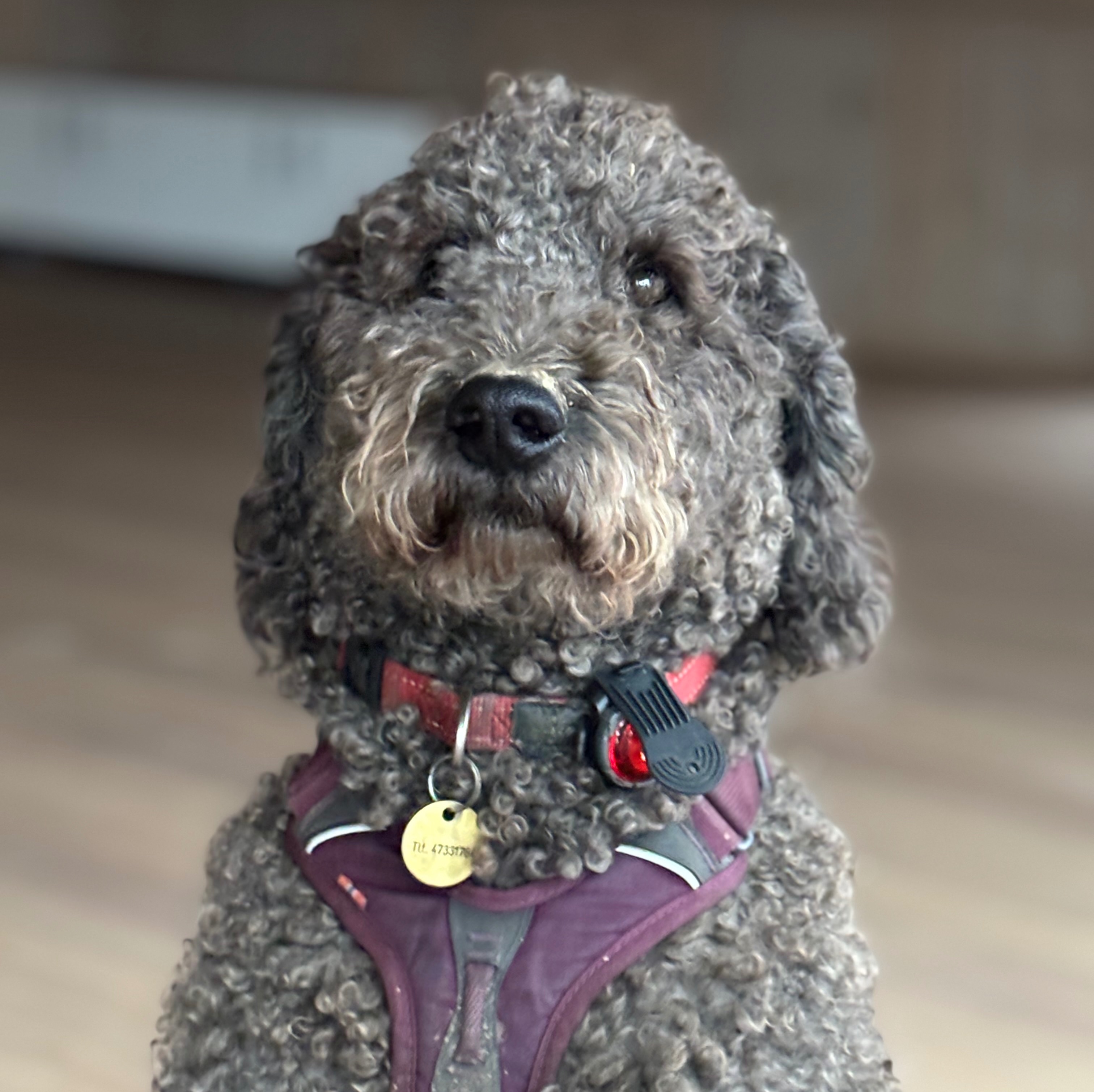 Ansattbilde av Tone Lund Nygård hos Mellbyes planteskole