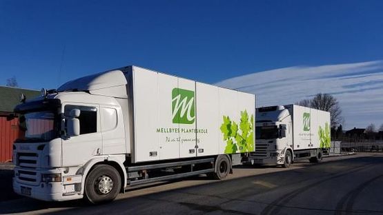 To store, hvite lastebiler med logo for Mellbyes planteskole