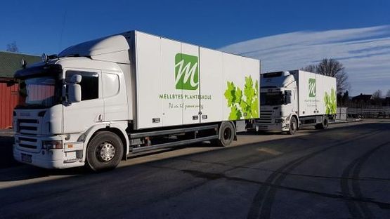 To store, hvite lastebiler med logo for Mellbyes planteskole