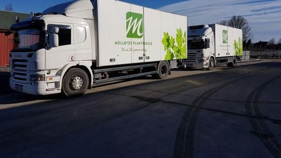 To store, hvite lastebiler med logo for Mellbyes planteskole